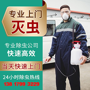 宿遷蟲控消殺滅鼠
