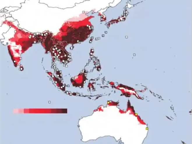 白線伊蚊分布圖 白線伊蚊分布圖
